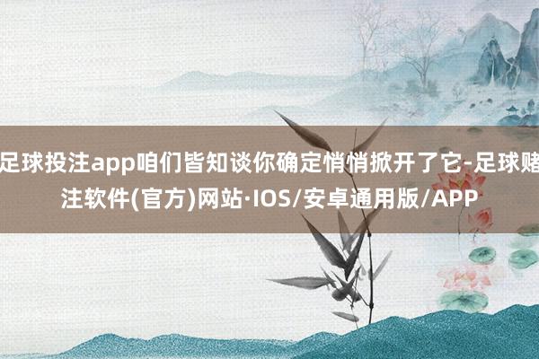 足球投注app咱们皆知谈你确定悄悄掀开了它-足球赌注软件(官方)网站·IOS/安卓通用版/APP