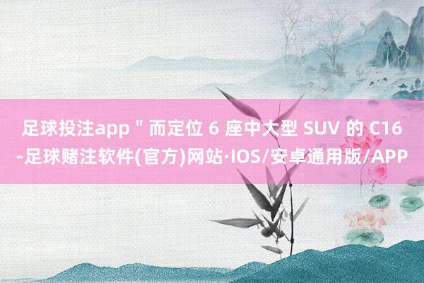 足球投注app＂而定位 6 座中大型 SUV 的 C16-足球赌注软件(官方)网站·IOS/安卓通用版/APP