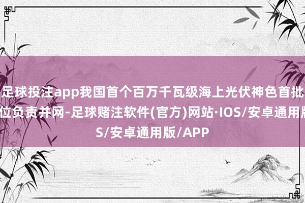 足球投注app我国首个百万千瓦级海上光伏神色首批发电单位负责并网-足球赌注软件(官方)网站·IOS/安卓通用版/APP