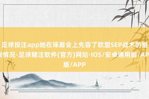 足球投注app她在琢磨会上先容了欧盟SEP战术的推崇情况-足球赌注软件(官方)网站·IOS/安卓通用版/APP