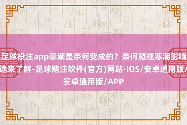 足球投注app寒潮是奈何变成的？奈何凝视寒潮影响？沿途来了解-足球赌注软件(官方)网站·IOS/安卓通用版/APP