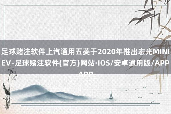 足球赌注软件上汽通用五菱于2020年推出宏光MINIEV-足球赌注软件(官方)网站·IOS/安卓通用版/APP