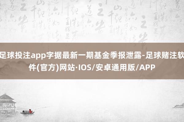 足球投注app字据最新一期基金季报泄露-足球赌注软件(官方)网站·IOS/安卓通用版/APP