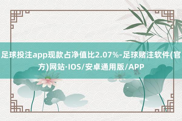 足球投注app现款占净值比2.07%-足球赌注软件(官方)网站·IOS/安卓通用版/APP