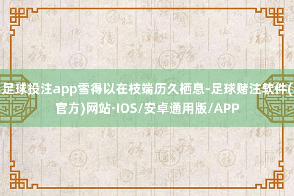 足球投注app雪得以在枝端历久栖息-足球赌注软件(官方)网站·IOS/安卓通用版/APP