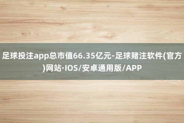 足球投注app总市值66.35亿元-足球赌注软件(官方)网站·IOS/安卓通用版/APP