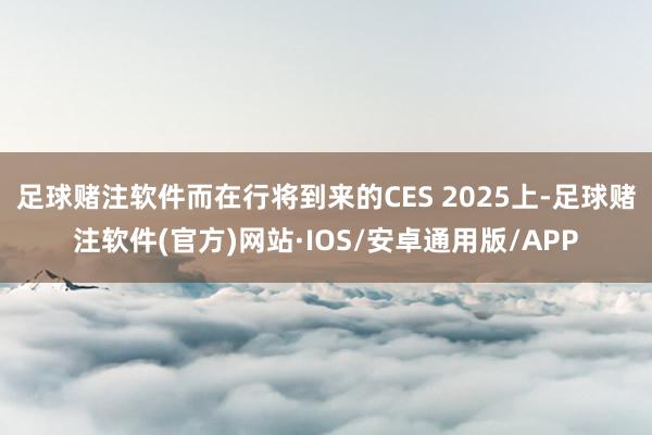 足球赌注软件而在行将到来的CES 2025上-足球赌注软件(官方)网站·IOS/安卓通用版/APP