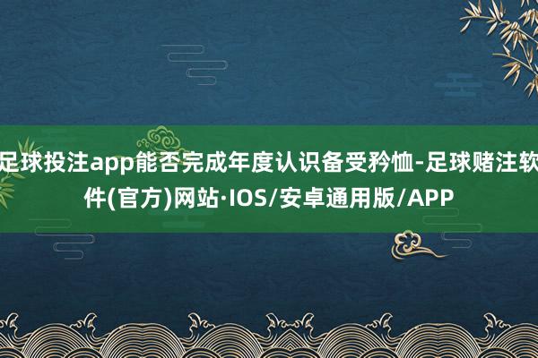 足球投注app能否完成年度认识备受矜恤-足球赌注软件(官方)网站·IOS/安卓通用版/APP