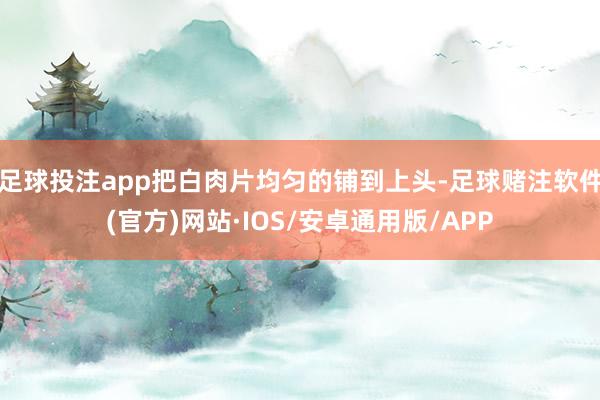 足球投注app把白肉片均匀的铺到上头-足球赌注软件(官方)网站·IOS/安卓通用版/APP