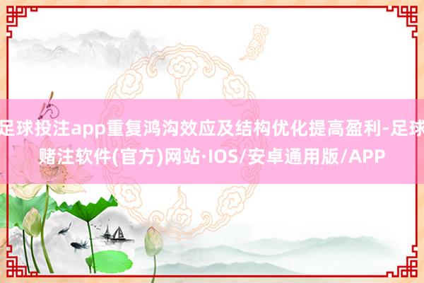 足球投注app重复鸿沟效应及结构优化提高盈利-足球赌注软件(官方)网站·IOS/安卓通用版/APP