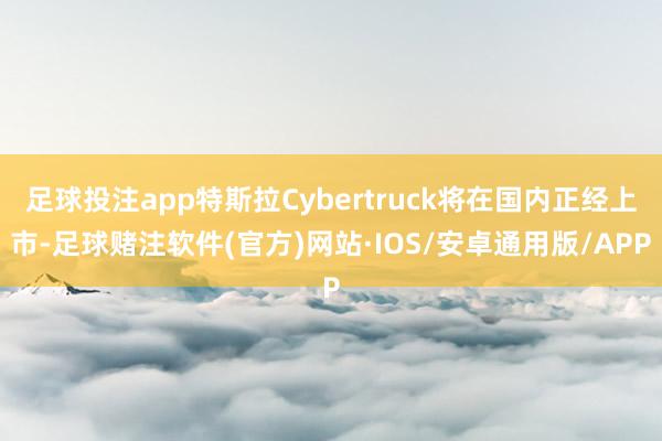 足球投注app特斯拉Cybertruck将在国内正经上市-足球赌注软件(官方)网站·IOS/安卓通用版/APP