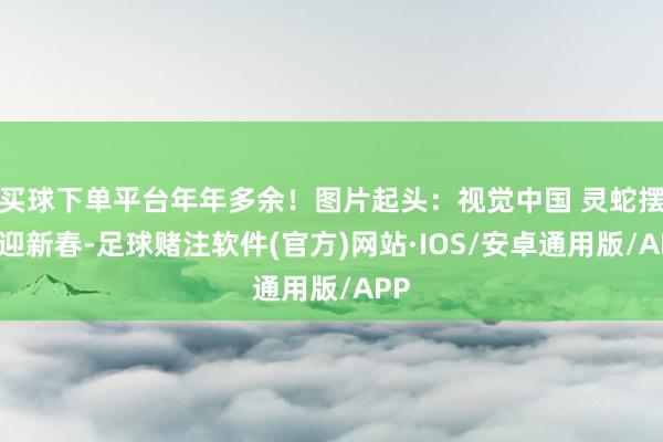 买球下单平台年年多余！图片起头：视觉中国 灵蛇摆动迎新春-足球赌注软件(官方)网站·IOS/安卓通用版/APP