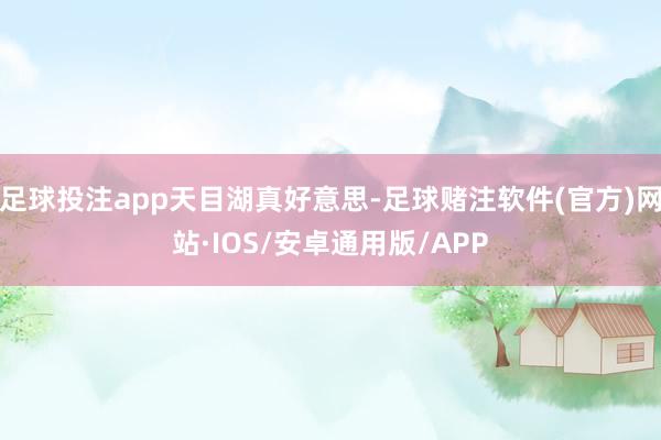 足球投注app天目湖真好意思-足球赌注软件(官方)网站·IOS/安卓通用版/APP