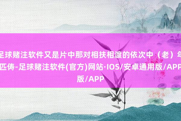 足球赌注软件又是片中那对相扶相渡的依次中（老）年匹俦-足球赌注软件(官方)网站·IOS/安卓通用版/APP