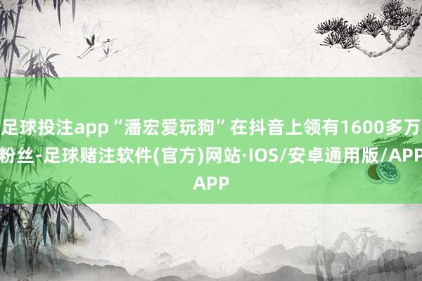 足球投注app“潘宏爱玩狗”在抖音上领有1600多万粉丝-足球赌注软件(官方)网站·IOS/安卓通用版/APP