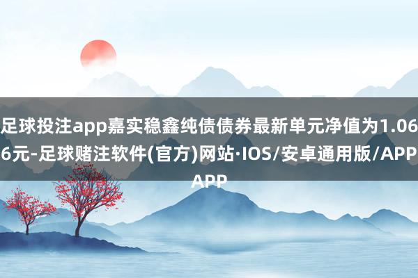 足球投注app嘉实稳鑫纯债债券最新单元净值为1.066元-足球赌注软件(官方)网站·IOS/安卓通用版/APP